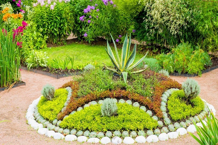 designing-your-own-garden-step-by-step-guide