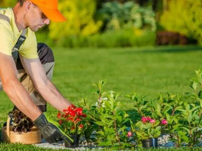 Hire Qualified Landscapers