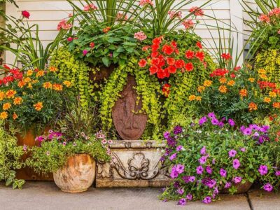 Garden Containers